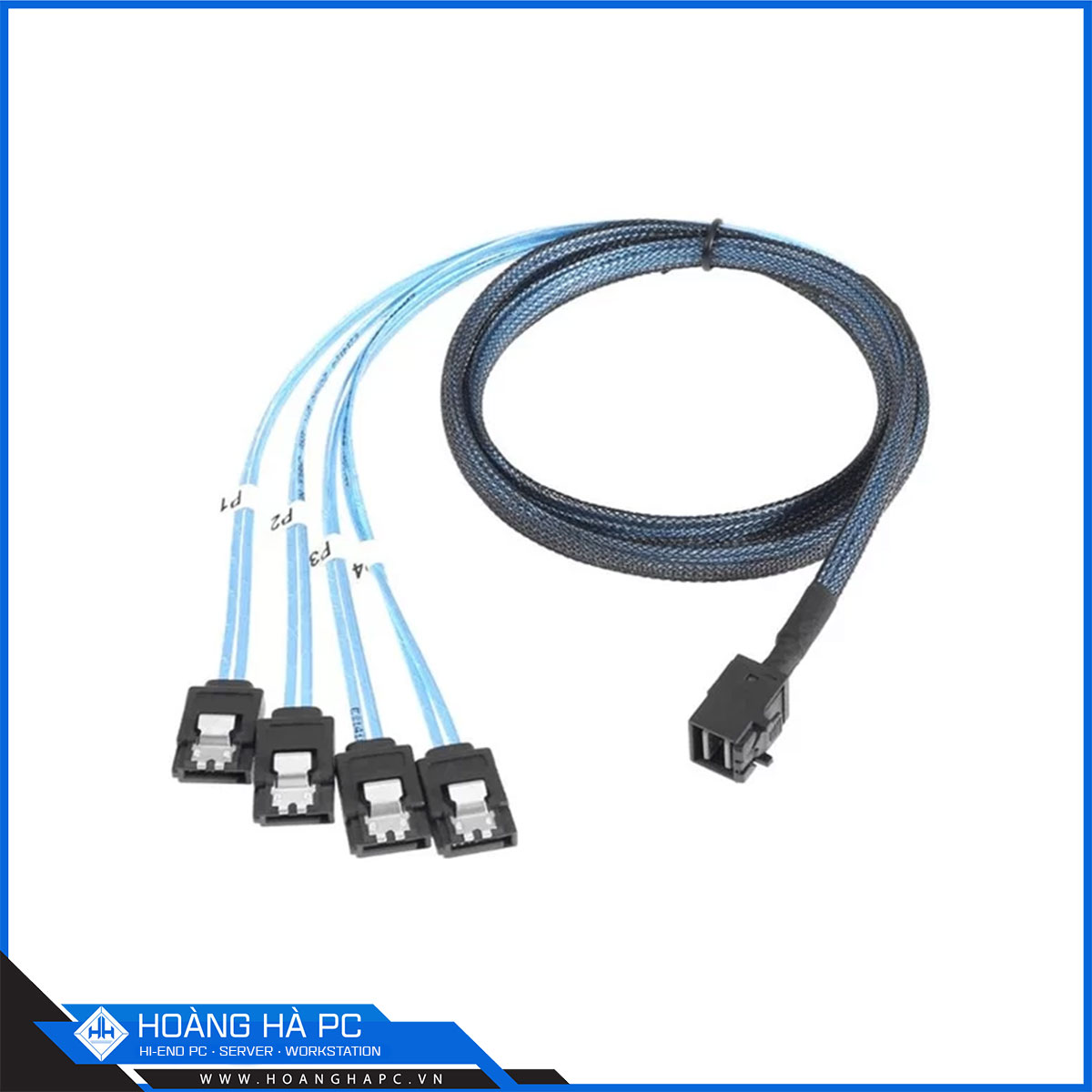 Cable SAS 8643 to 4 SATA